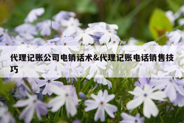 代理记账公司电销话术&代理记账电话销售技巧