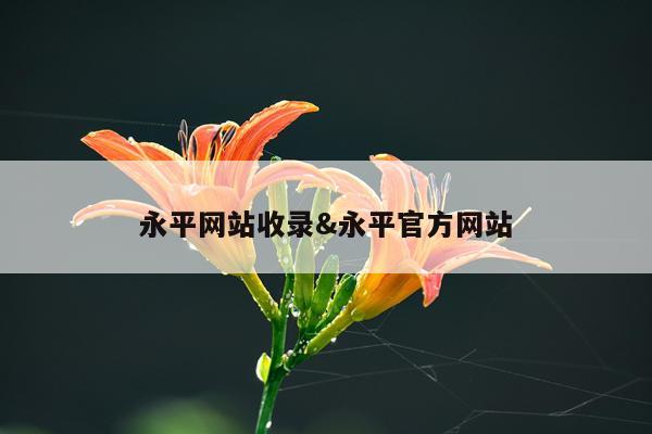 永平网站收录&永平官方网站