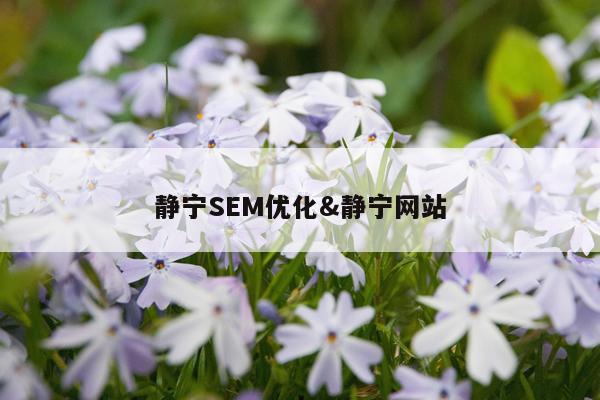 静宁SEM优化&静宁网站