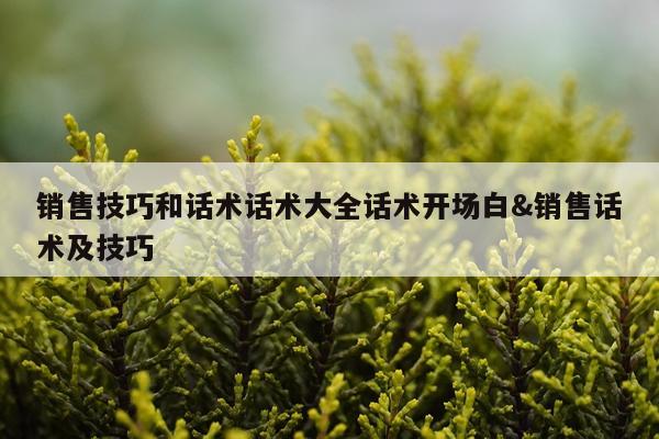 销售技巧和话术话术大全话术开场白&销售话术及技巧