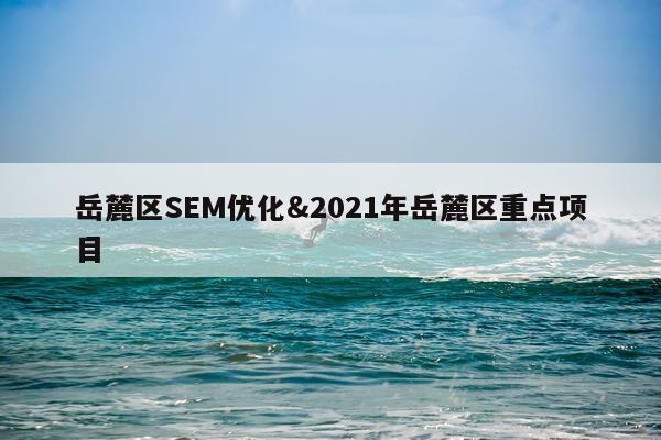 岳麓区SEM优化&2021年岳麓区重点项目