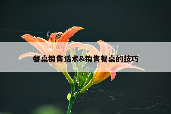 餐桌销售话术&销售餐桌的技巧