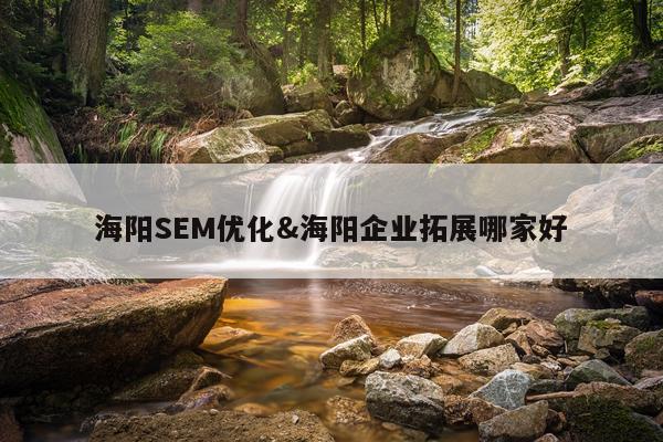 海阳SEM优化&海阳企业拓展哪家好