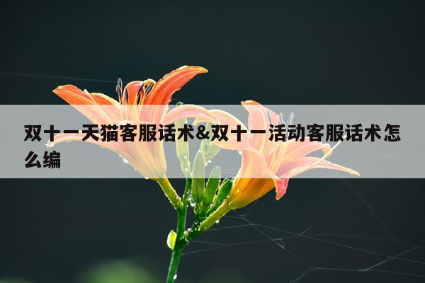 双十一天猫客服话术&双十一活动客服话术怎么编