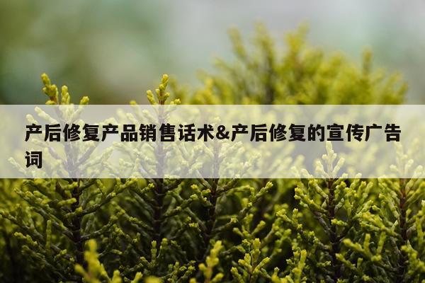 产后修复产品销售话术&产后修复的宣传广告词