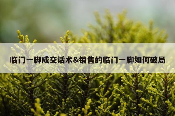 临门一脚成交话术&销售的临门一脚如何破局