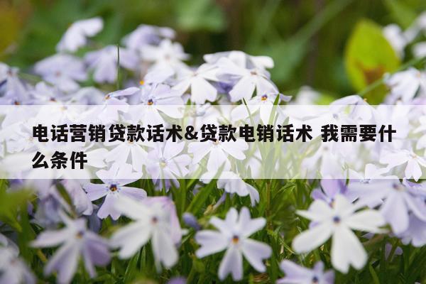 电话营销贷款话术&贷款电销话术 我需要什么条件