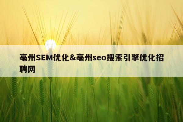 亳州SEM优化&亳州seo搜索引擎优化招聘网