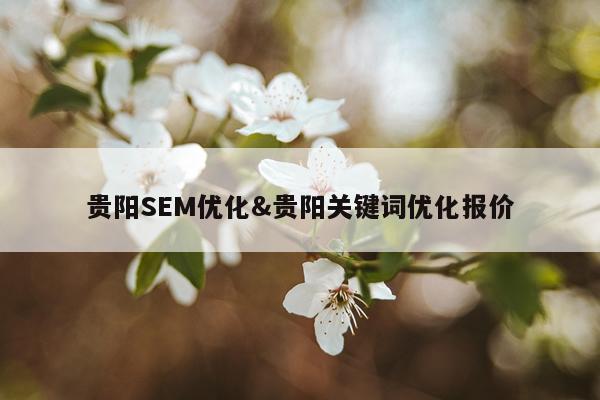 贵阳SEM优化&贵阳关键词优化报价