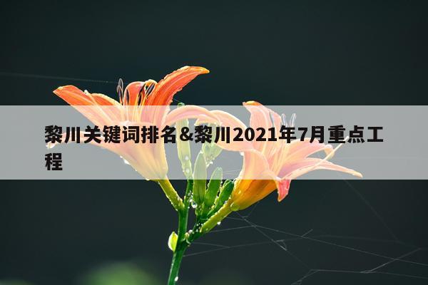 黎川关键词排名&黎川2021年7月重点工程