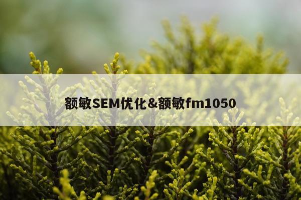 额敏SEM优化&额敏fm1050
