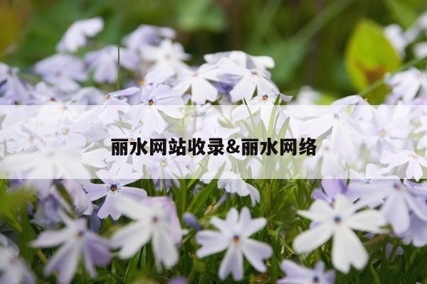丽水网站收录&丽水网络