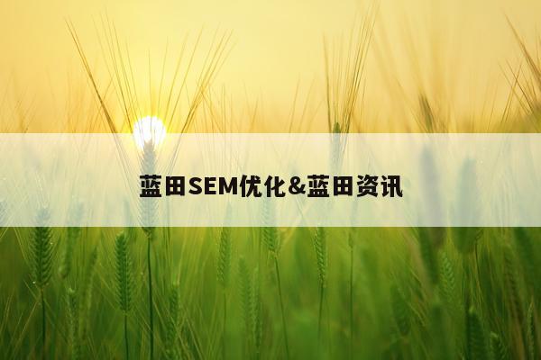 蓝田SEM优化&蓝田资讯