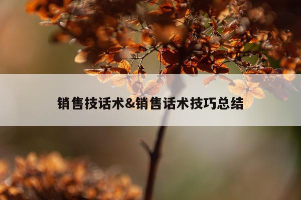 销售技话术&销售话术技巧总结