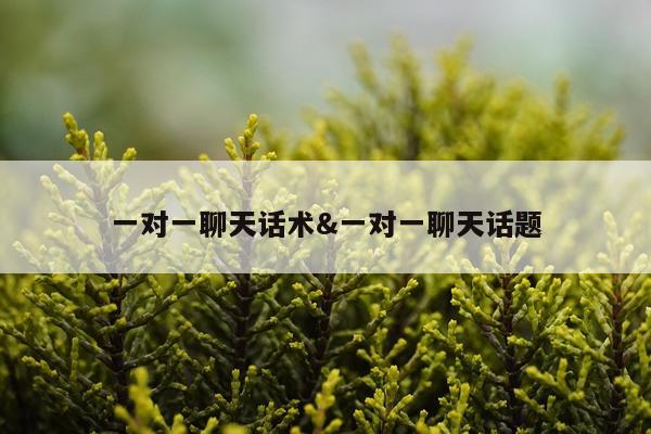 一对一聊天话术&一对一聊天话题