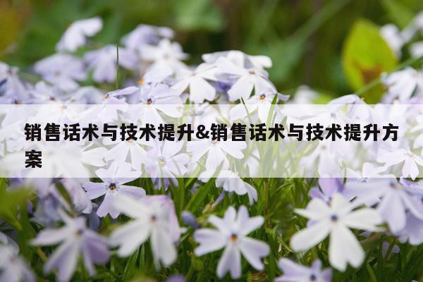 销售话术与技术提升&销售话术与技术提升方案