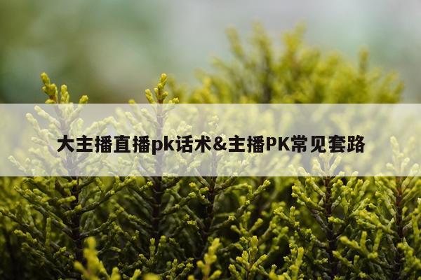 大主播直播pk话术&主播PK常见套路