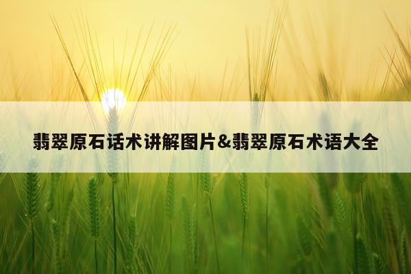 翡翠原石话术讲解图片&翡翠原石术语大全