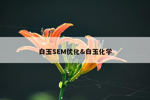 白玉SEM优化&白玉化学