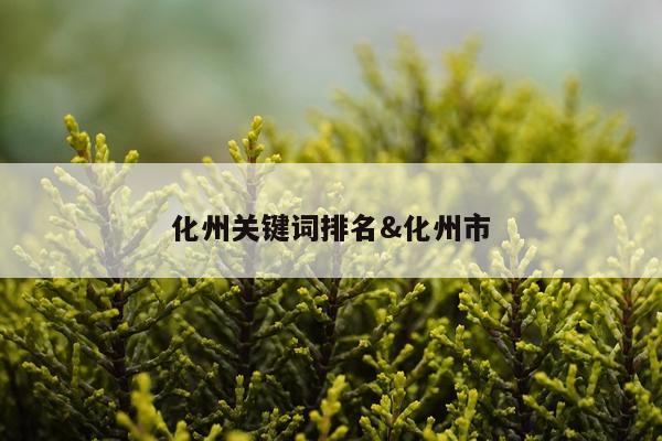 化州关键词排名&化州市