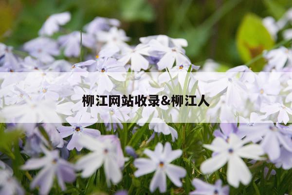 柳江网站收录&柳江人