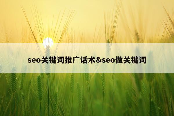 seo关键词推广话术&seo做关键词