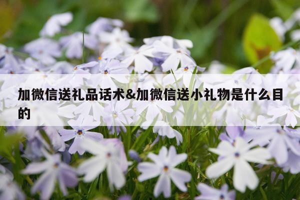 加微信送礼品话术&加微信送小礼物是什么目的