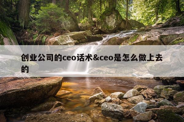 创业公司的ceo话术&ceo是怎么做上去的