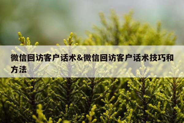 微信回访客户话术&微信回访客户话术技巧和方法