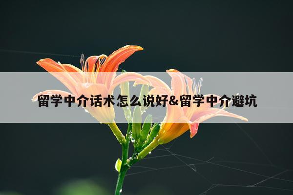 留学中介话术怎么说好&留学中介避坑