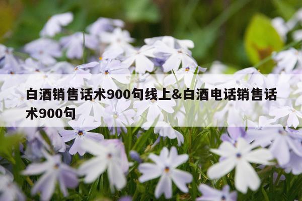白酒销售话术900句线上&白酒电话销售话术900句