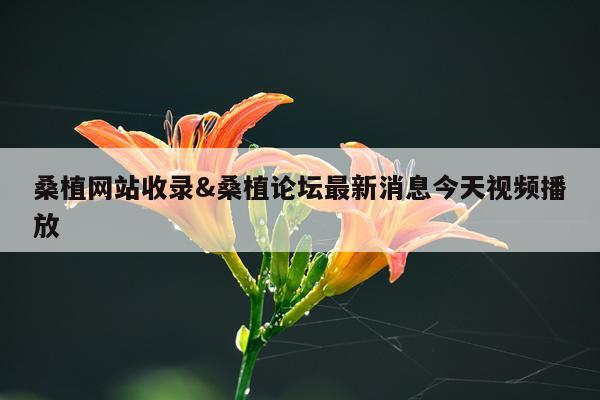 桑植网站收录&桑植论坛最新消息今天视频播放