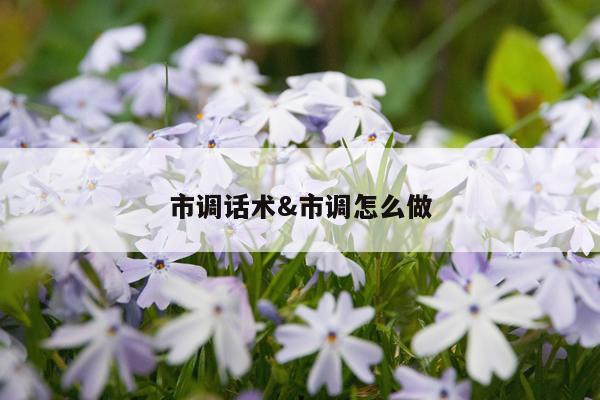 市调话术&市调怎么做