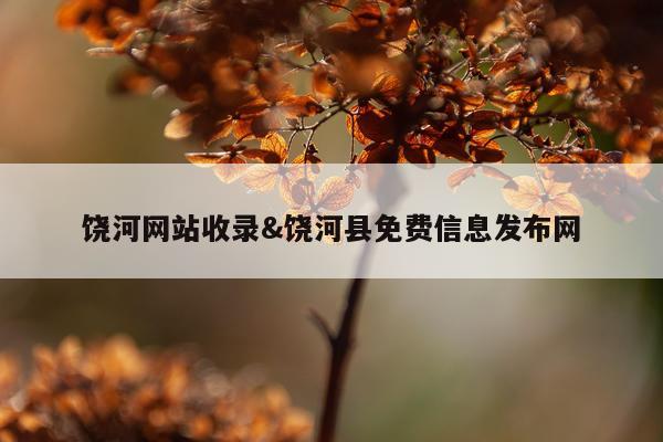 饶河网站收录&饶河县免费信息发布网