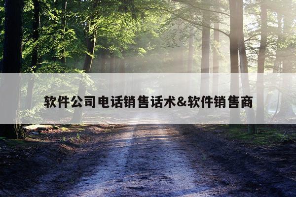 软件公司电话销售话术&软件销售商