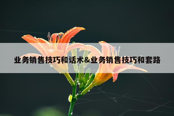 业务销售技巧和话术&业务销售技巧和套路