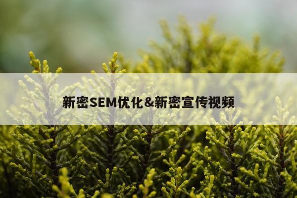 新密SEM优化&新密宣传视频
