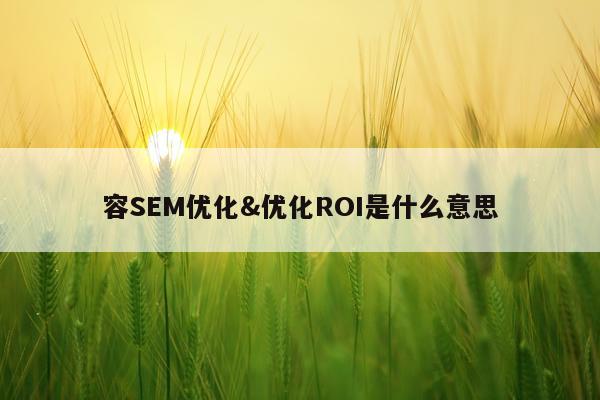 容SEM优化&优化ROI是什么意思