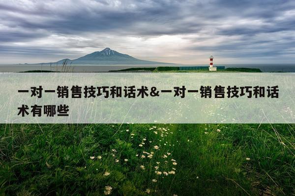 一对一销售技巧和话术&一对一销售技巧和话术有哪些