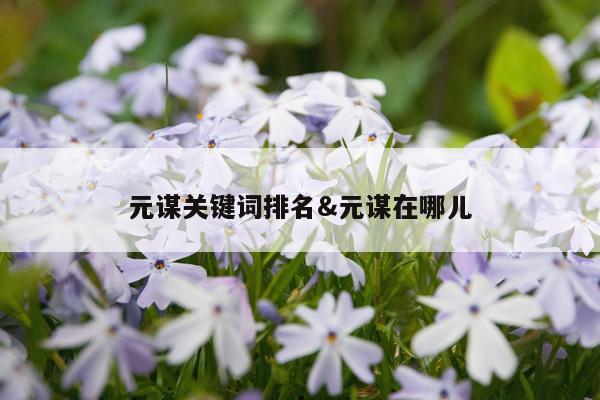 元谋关键词排名&元谋在哪儿