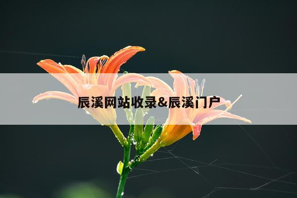 辰溪网站收录&辰溪门户