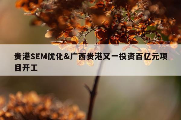 贵港SEM优化&广西贵港又一投资百亿元项目开工