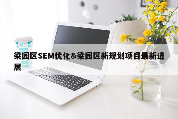 梁园区SEM优化&梁园区新规划项目最新进展