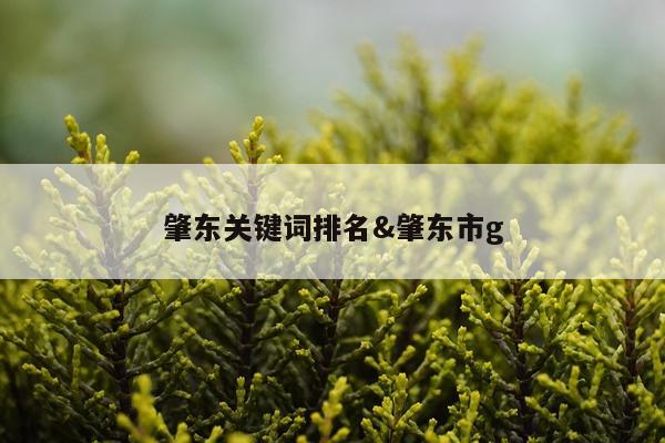 肇东关键词排名&肇东市g