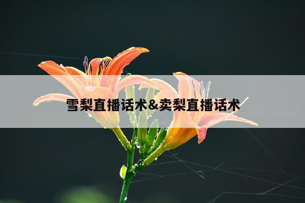 雪梨直播话术&卖梨直播话术