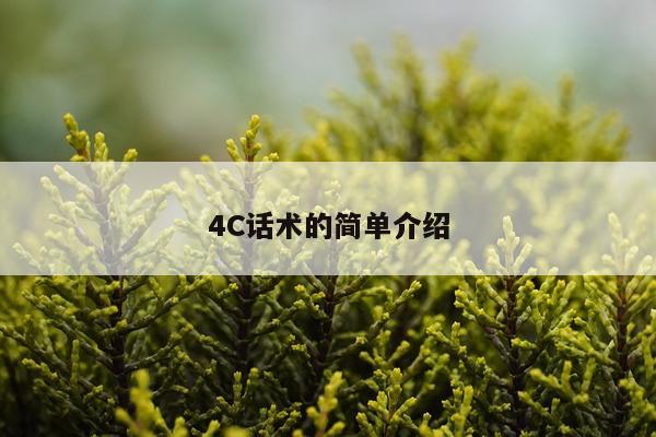 4C话术的简单介绍
