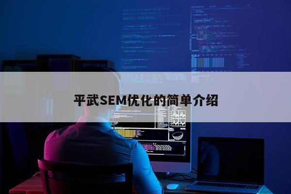 平武SEM优化的简单介绍