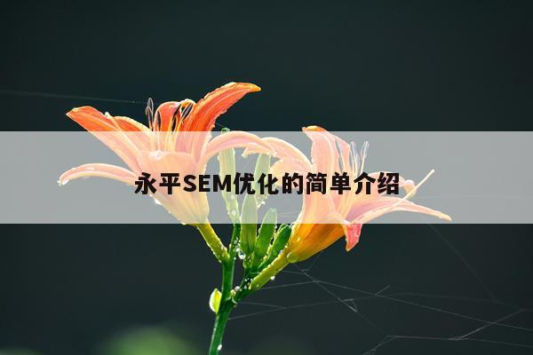 永平SEM优化的简单介绍
