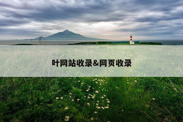 叶网站收录&网页收录