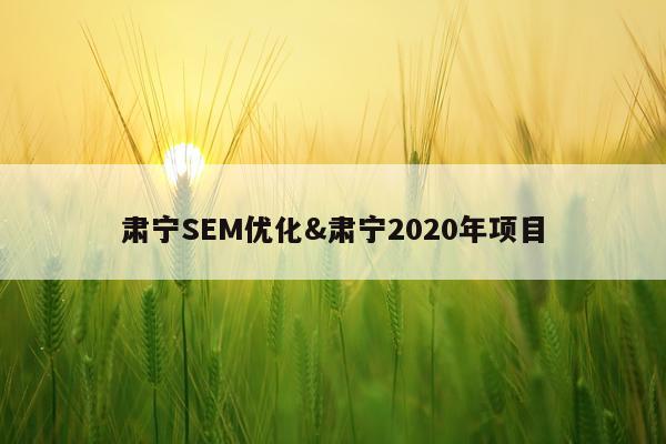肃宁SEM优化&肃宁2020年项目